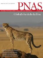 Proceedings of the National Academy of Sciences (PNAS) cover image