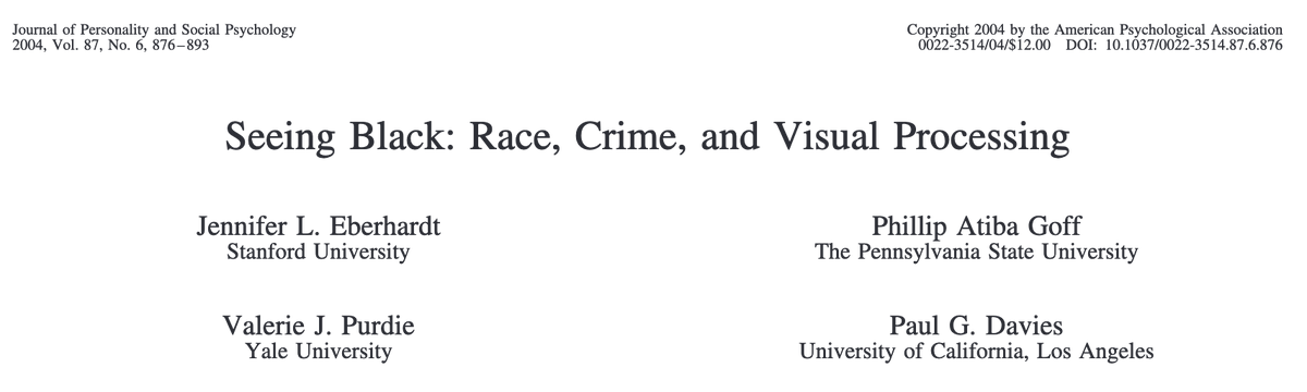 Seeing Black: Race, Crime, and Visual Processing