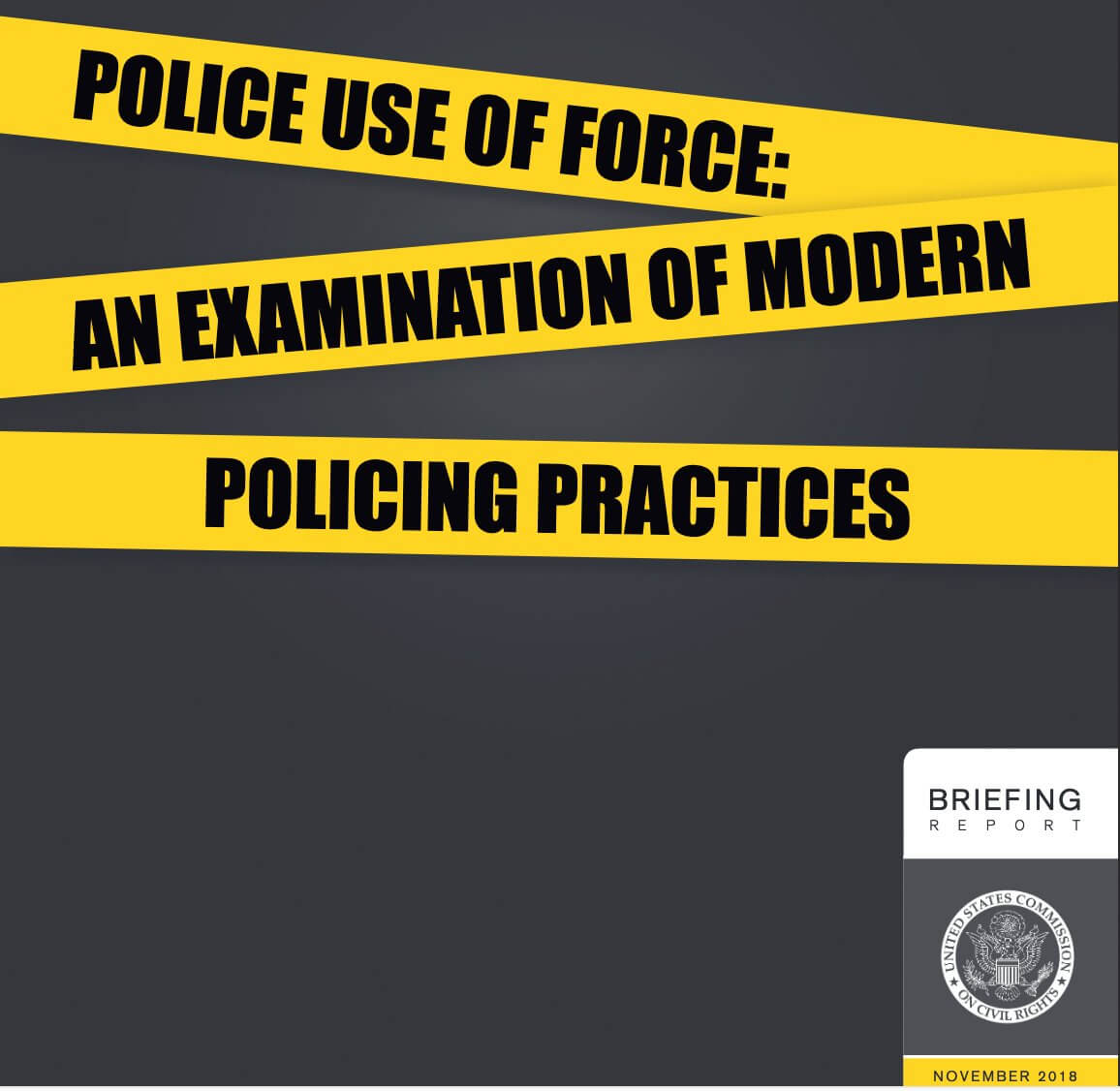 Police Use of Force: An Examination of Modern Policing Practices